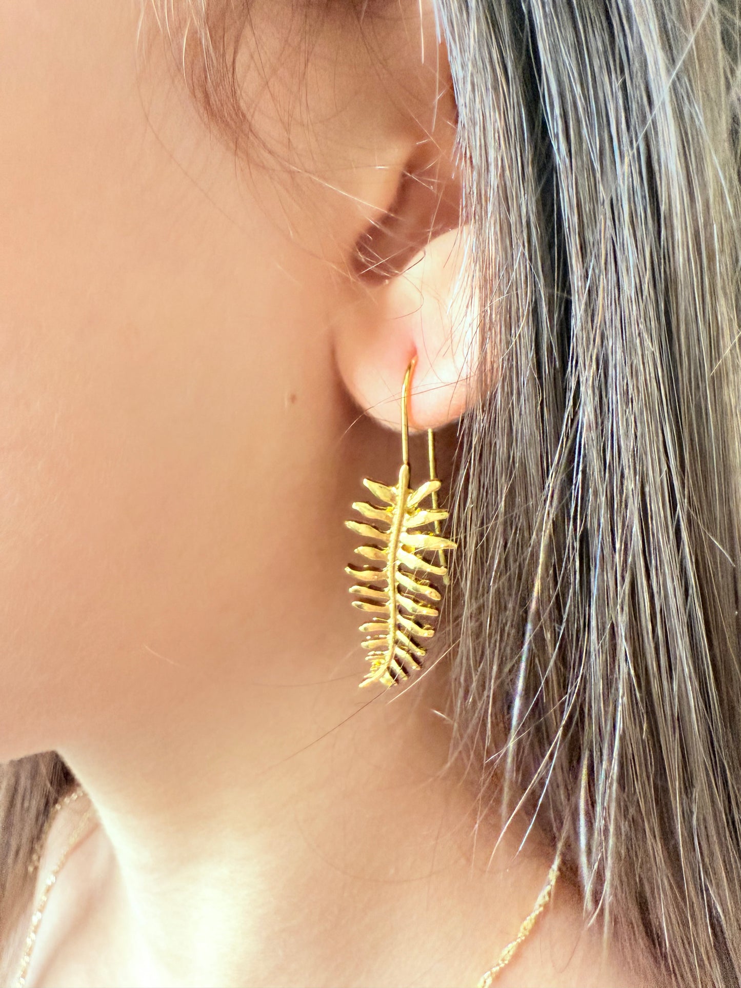 Hojas de helechos