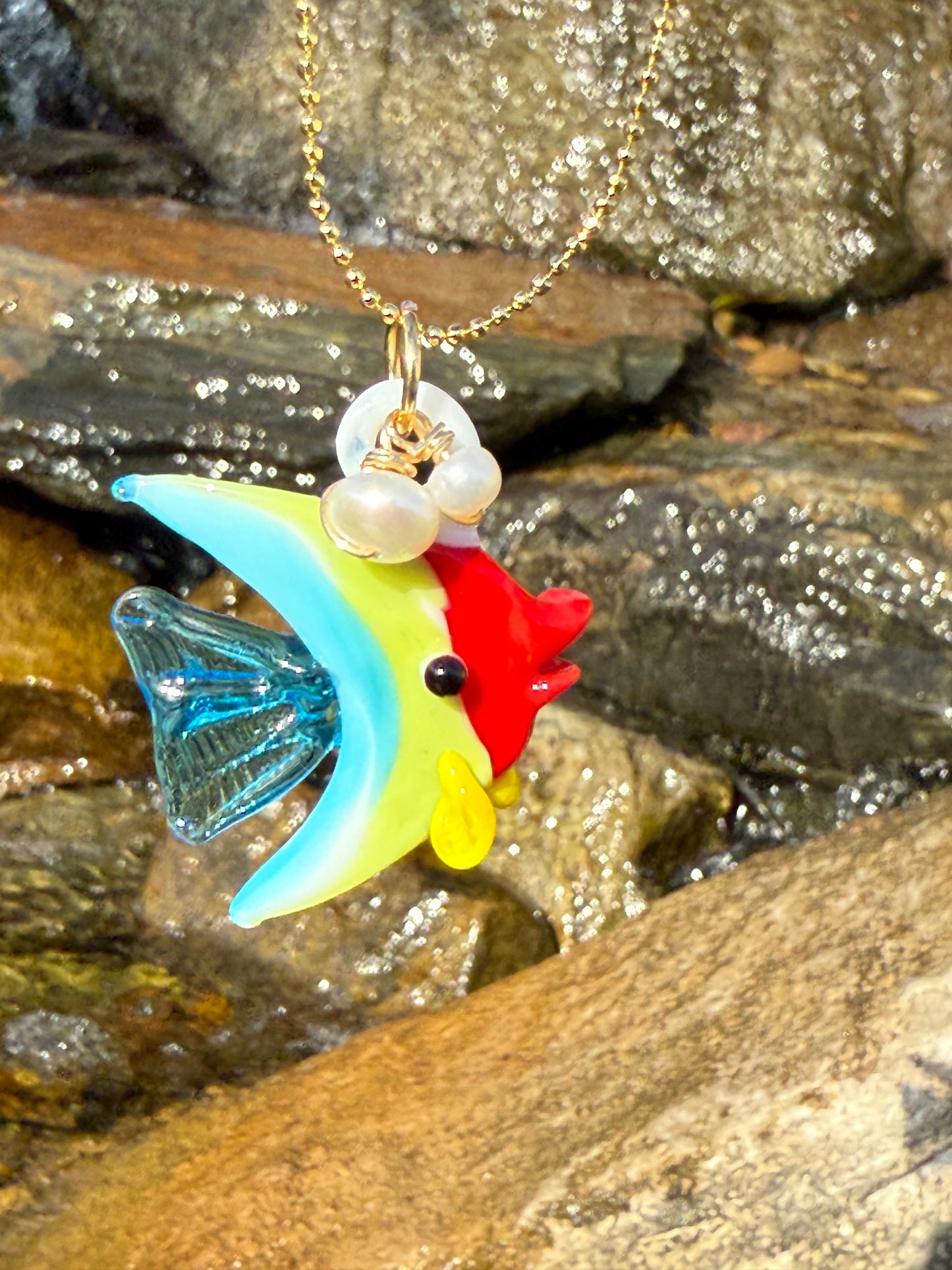 Peces de cristal en colores