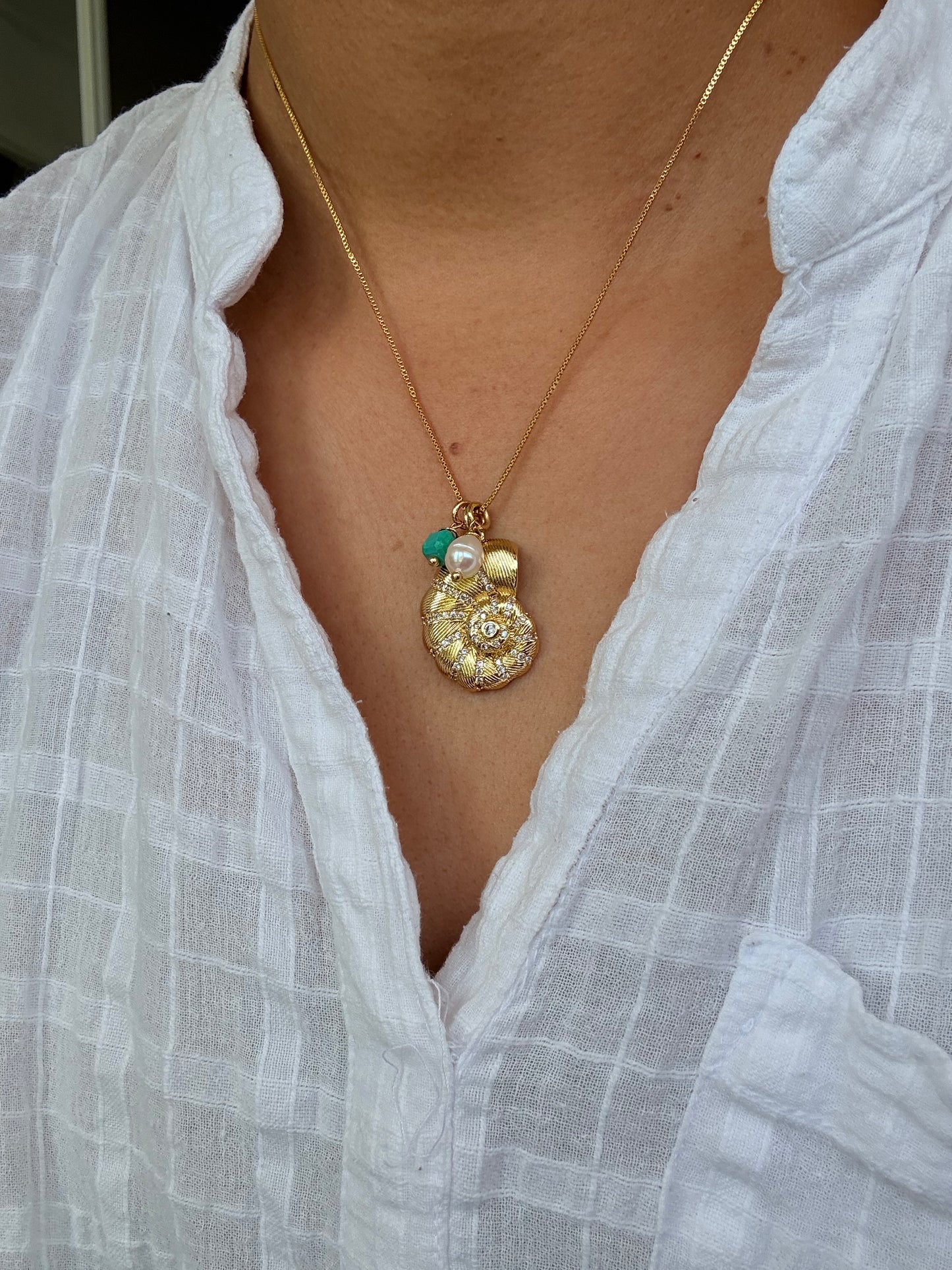 Nautilus en cadena