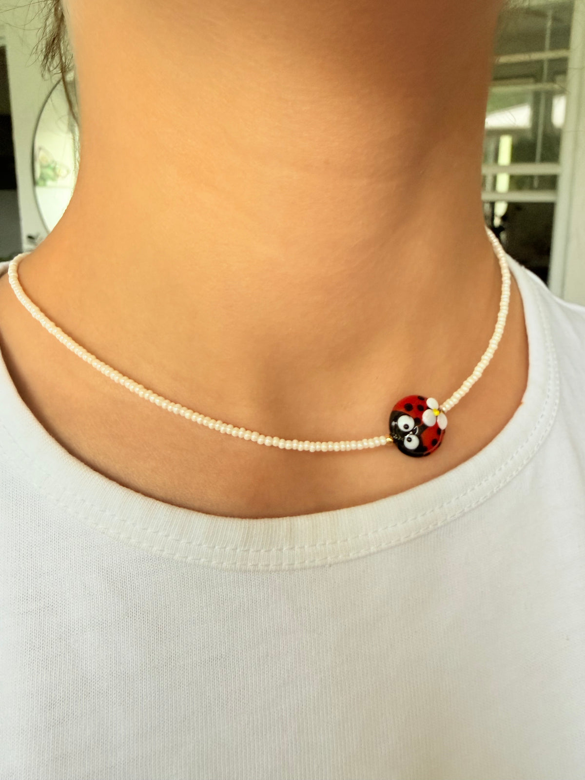 Ladybug