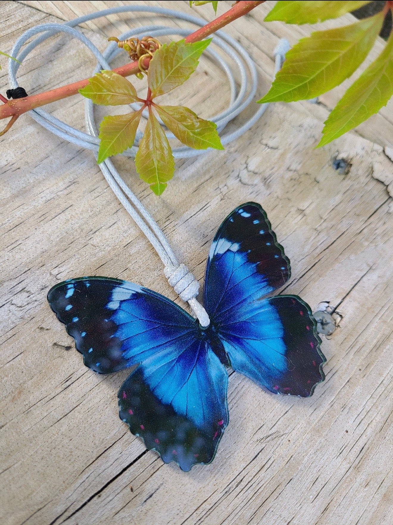 Mariposas