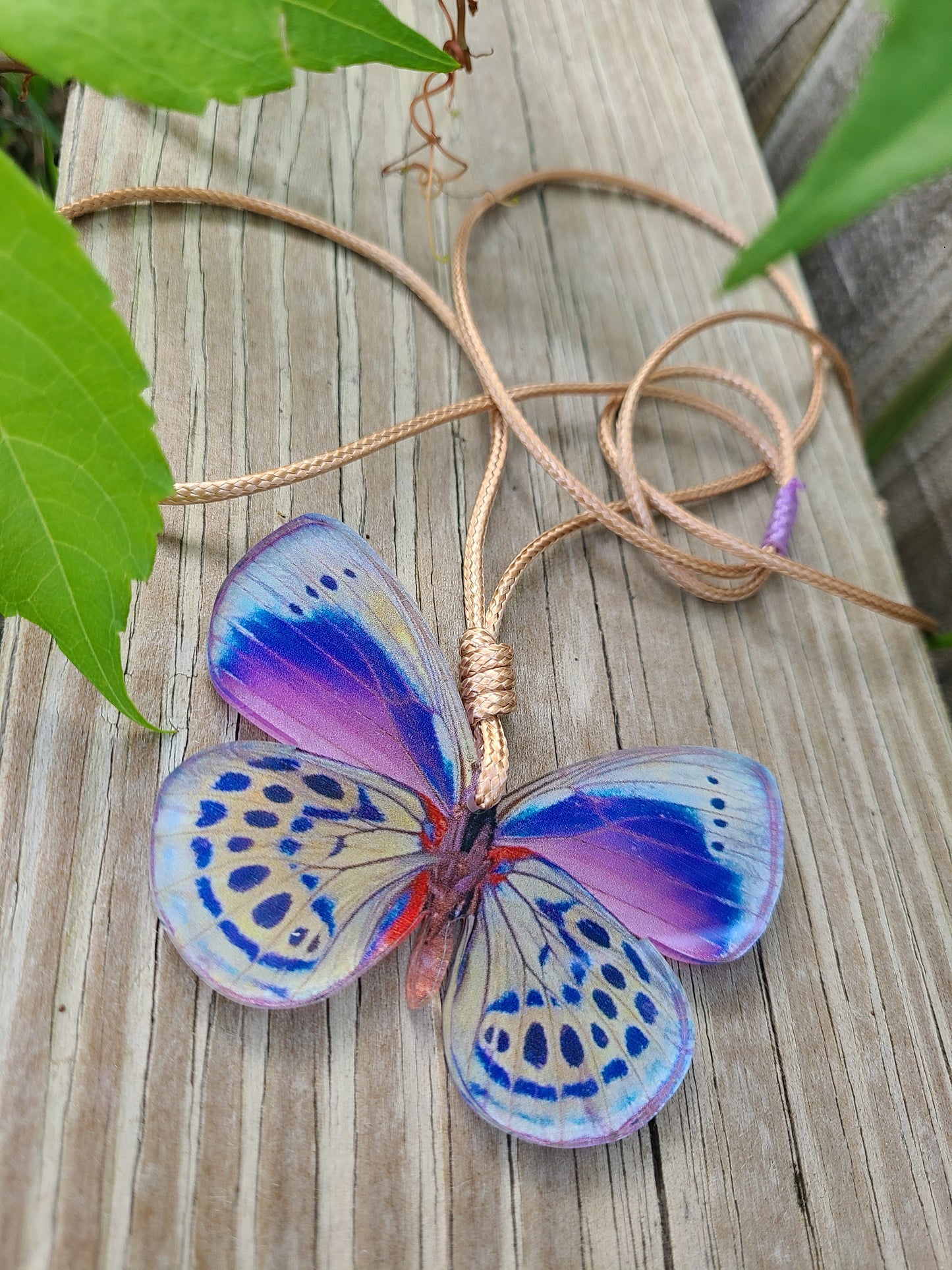 Mariposa 2