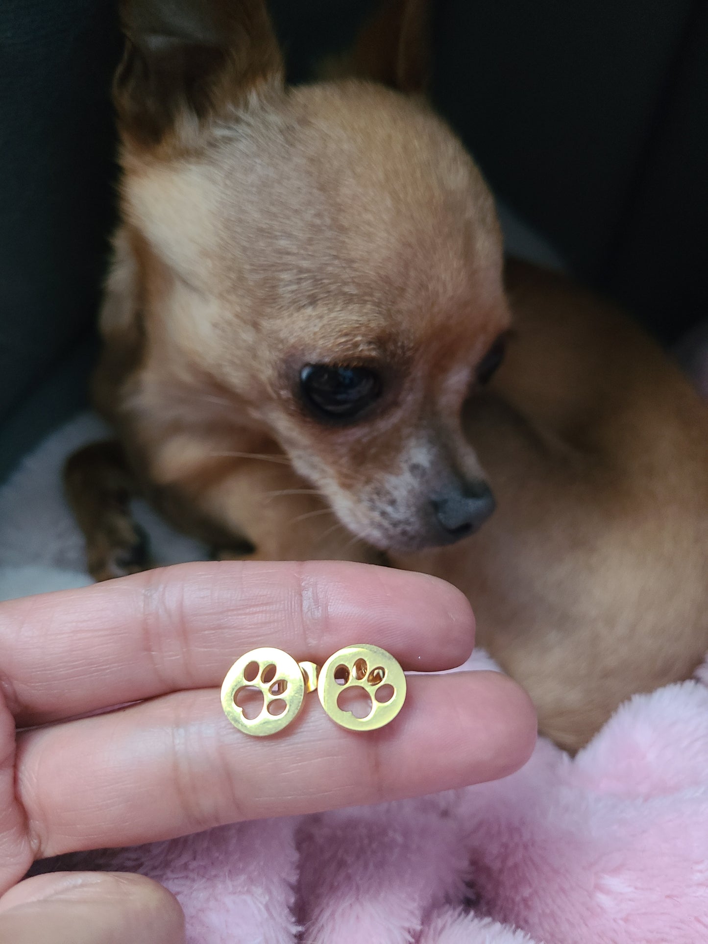 Aretes de huella de mascota.