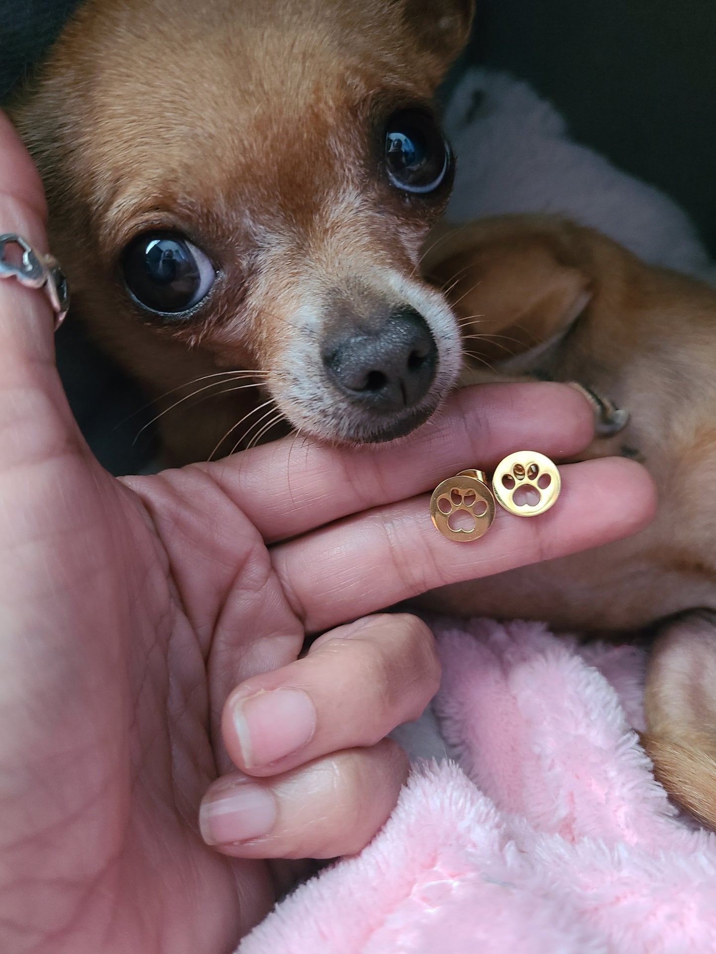 Aretes de huella de mascota.