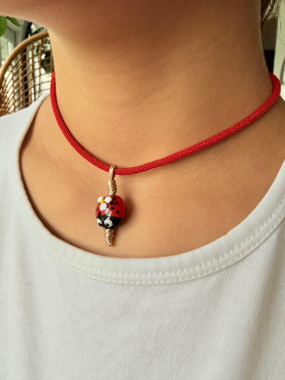 Ladybug