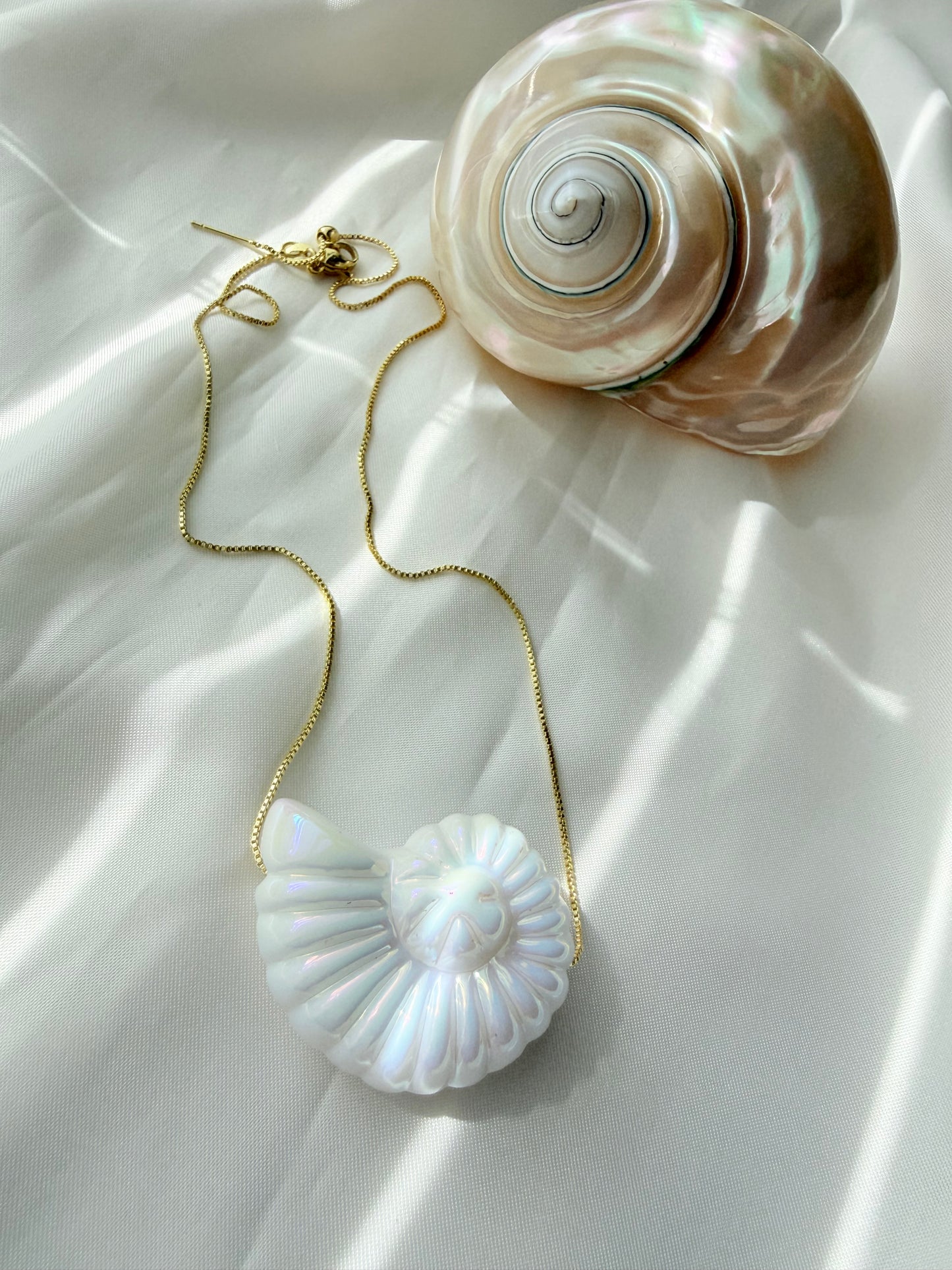 Nautilus (LEE la descripción sobre la medida)
