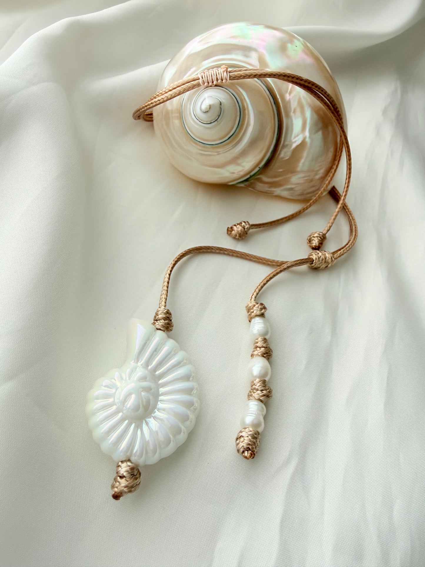 Nautilus