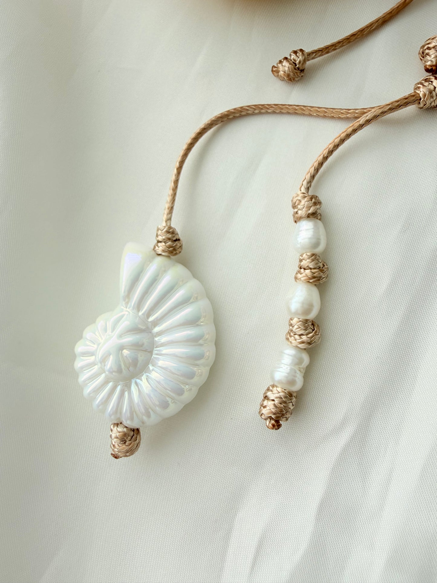 Nautilus