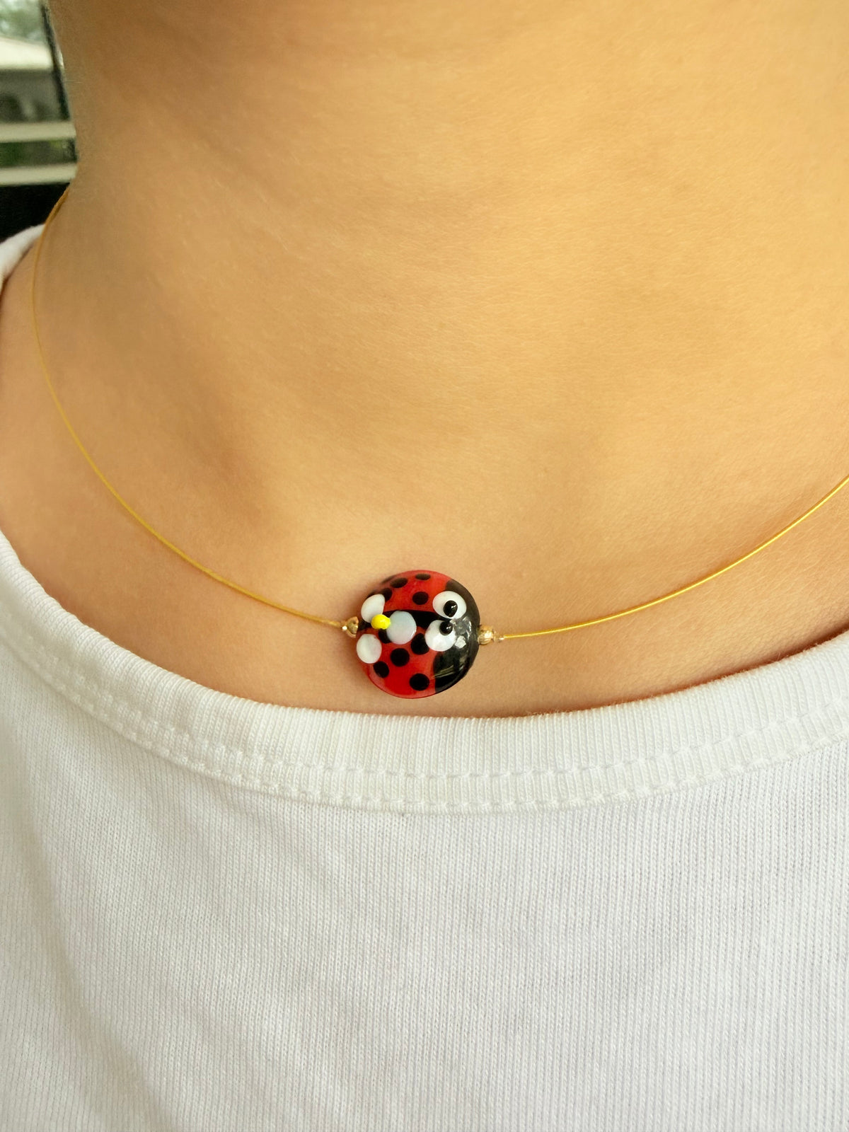 Ladybug