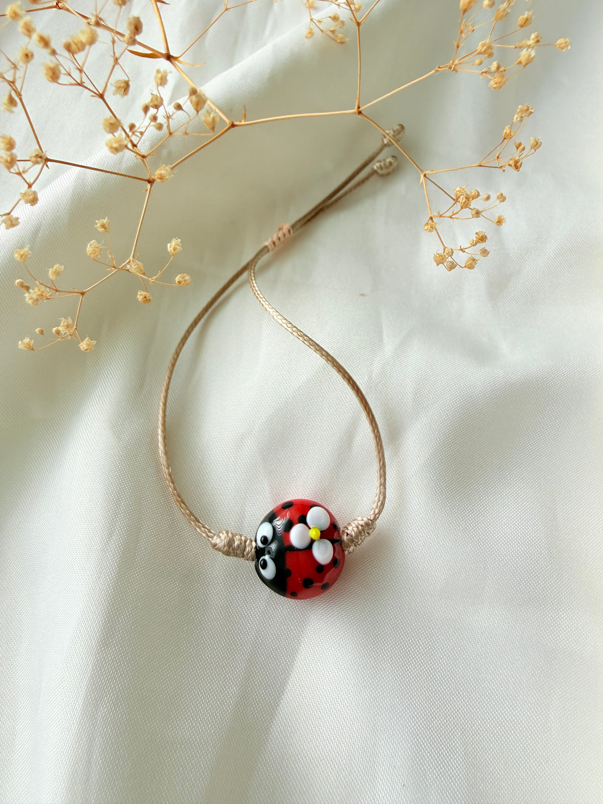 Ladybug