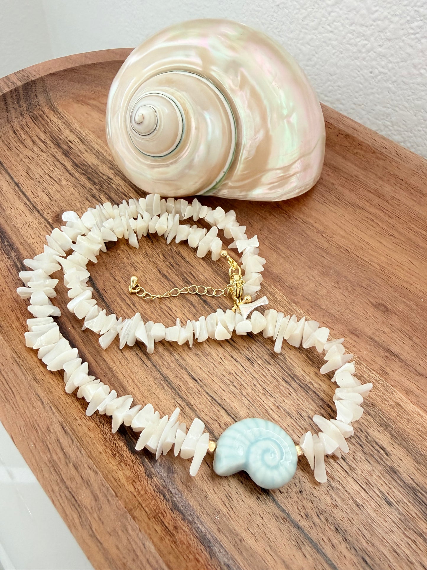 Nautilus