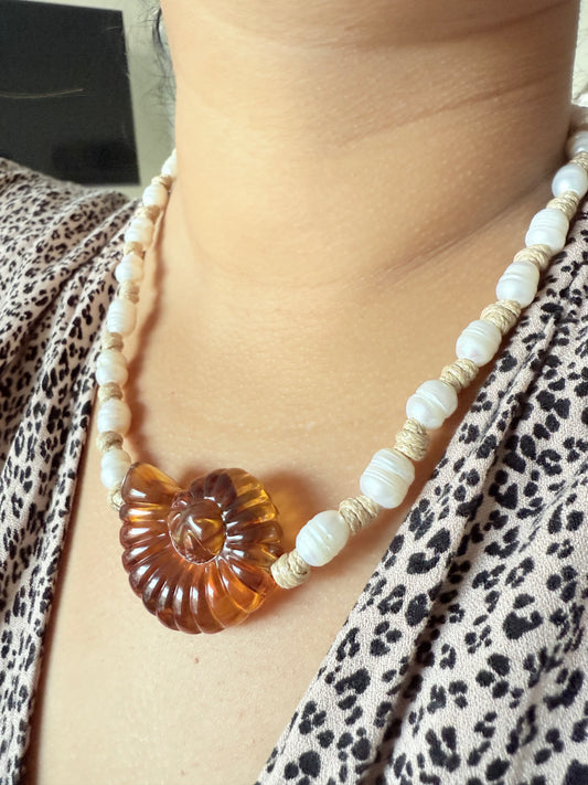 Nautilus