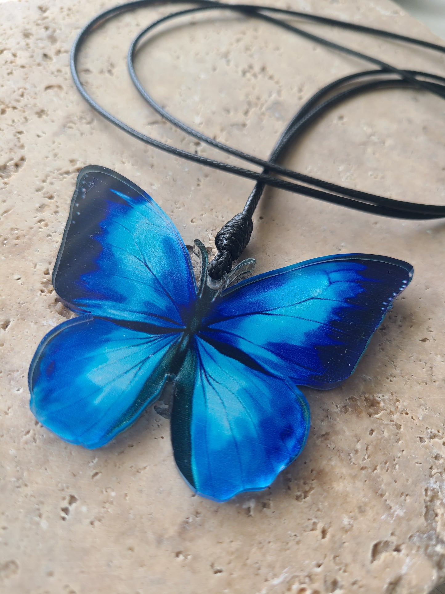 Mariposa Azul.