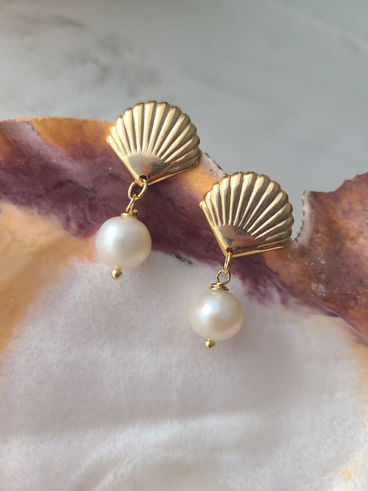 Earrings Shell and pearls