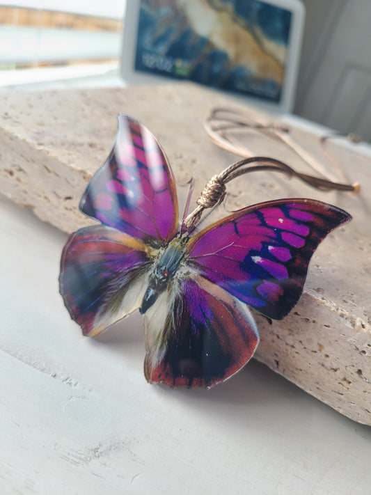 Mariposa Morada.