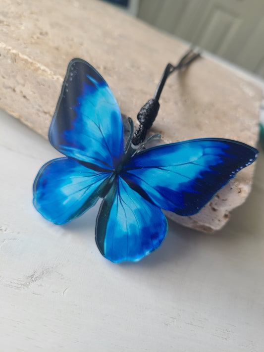 Mariposa Azul.